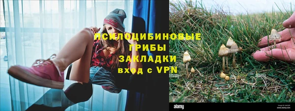 соль курить ск Алексеевка